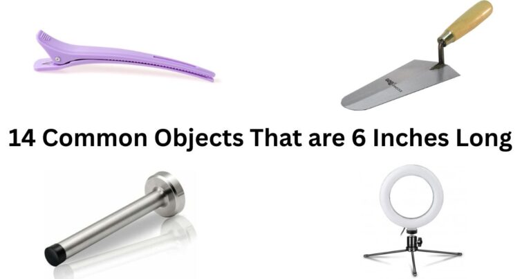 How Long Is 6 Inches? Conversion & 14 Real-Life Examples With Pics