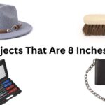How Long is 8 Inches? 13 Everyday Objects That Are 8 Inches Long
