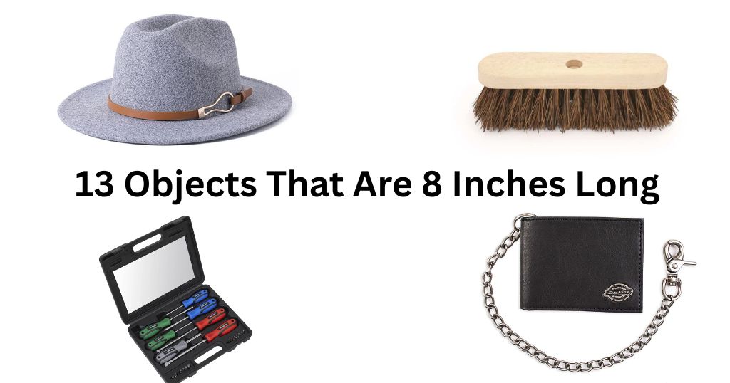 How Long is 8 Inches? 13 Everyday Objects That Are 8 Inches Long