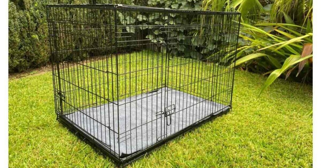 Large Dog Crate That is 42 Inches long