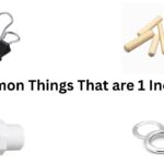 12 Common Things That are 1 Inch Long