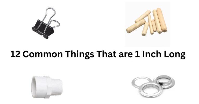 12 Common Things That are 1 Inch Long