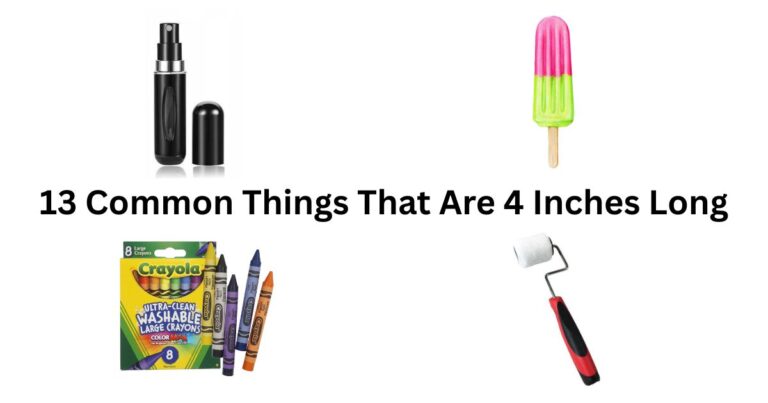 13 Common Things That Are 4 Inches Long
