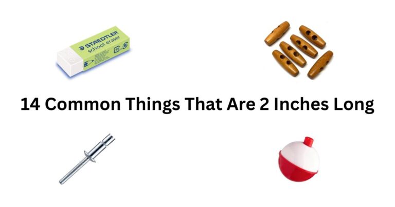 14 Common Things That Are 2 Inches Long