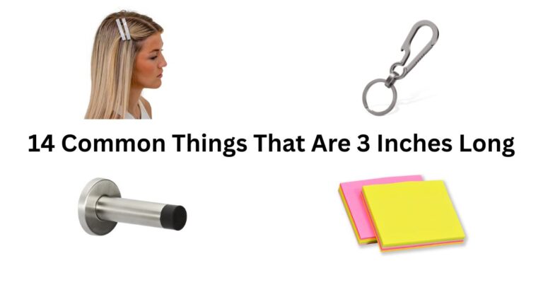 14 Common Things That Are 3 Inches Long