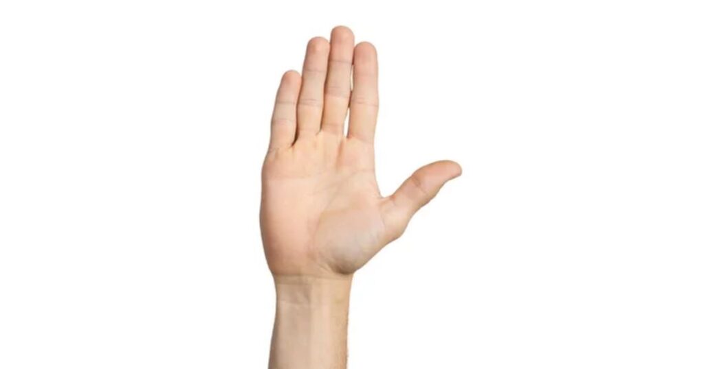Adult Male's Thumb Width That Are 1 Inches