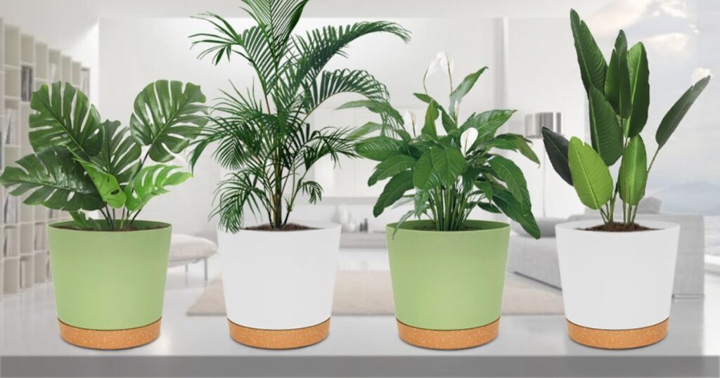 Common Objects That Are 10 Inches Long 10-Inch Plant Planter