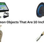 Common Objects That Are 10 Inches Long