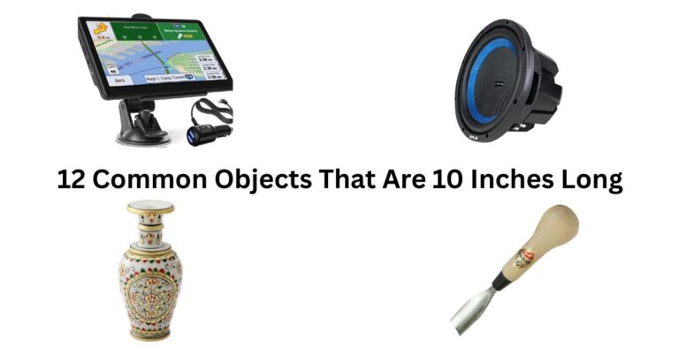 Common Objects That Are 10 Inches Long