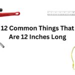 How Long Is 12 Inches? 12 Common Things That Are 12 Inches Long