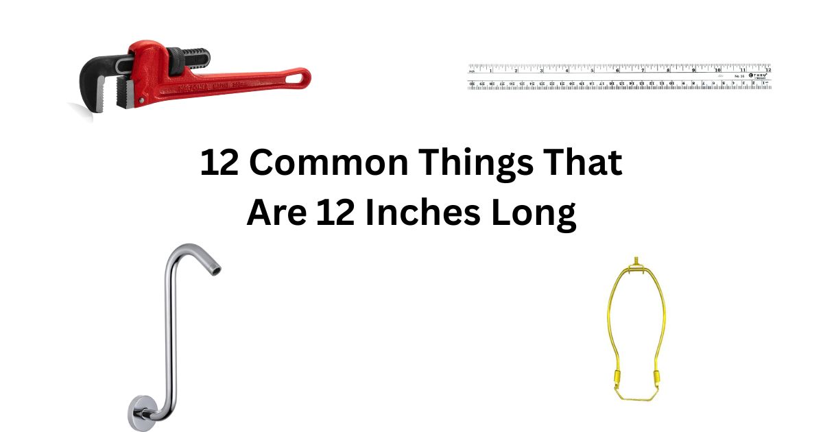 How Long Is 12 Inches? 12 Common Things That Are 12 Inches Long