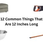 How Long Is 20 Inches? 13 Common Things That Are 20 Inches Long