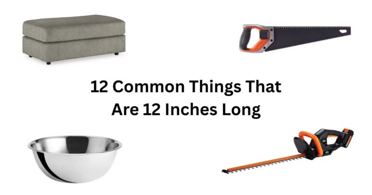 How Long Is 20 Inches? 13 Common Things That Are 20 Inches Long