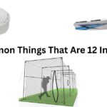 How Long is 50 Feet? 11 Common Things That Are 50 Feet Long