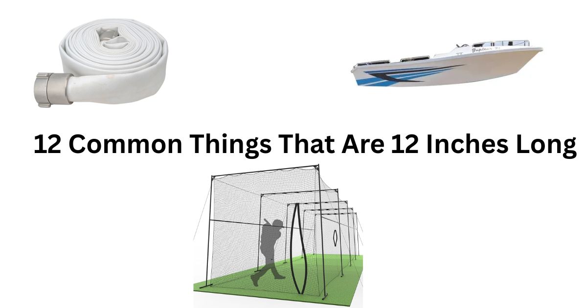 How Long is 50 Feet? 11 Common Things That Are 50 Feet Long