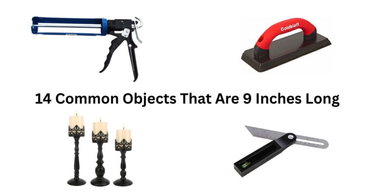 How Long Is 9 Inches? 14 Common Comparisons That Are 9 Inches Long
