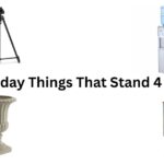 How Tall Is 48 Inches? 10 Everyday Things That Stand 4 Feet Tall
