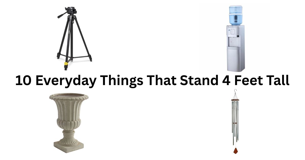 How Tall Is 48 Inches? 10 Everyday Things That Stand 4 Feet Tall