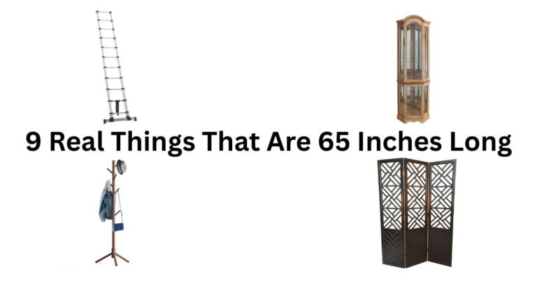 How Tall Is 65 Inches? 9 Real Things That Show You Exactly What It Looks Like