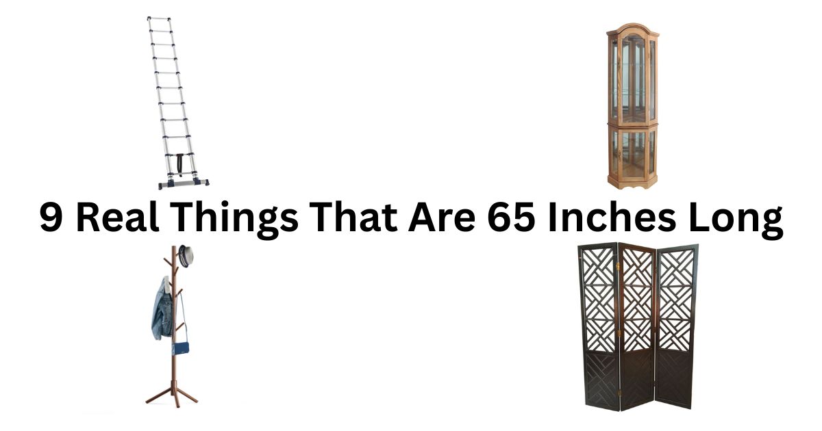 How Tall Is 65 Inches? 9 Real Things That Show You Exactly What It Looks Like