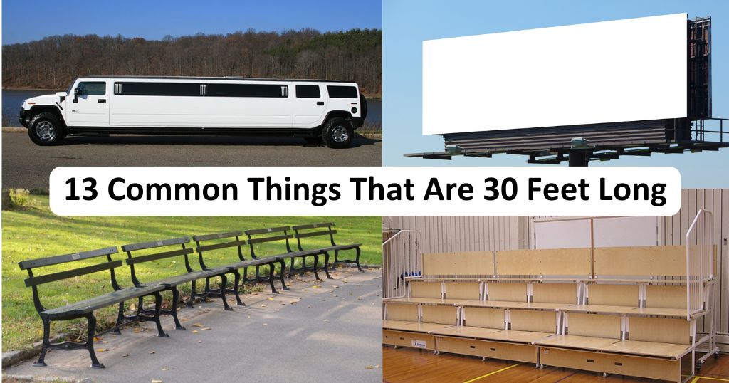 13 Common Things That Are 30 Feet Long or Big: Real-World Size Guide