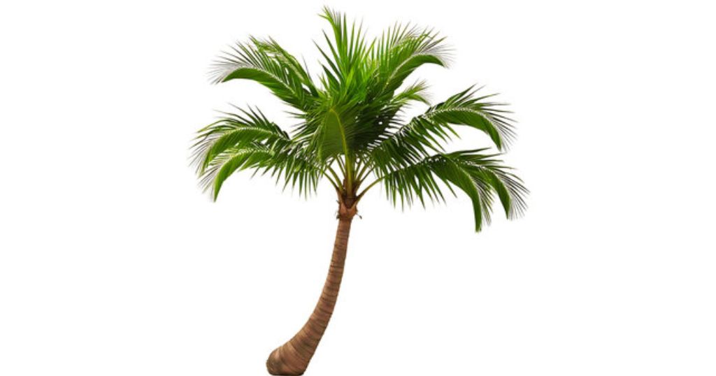Artificial Palm Tree That Is 59 Inches Tall