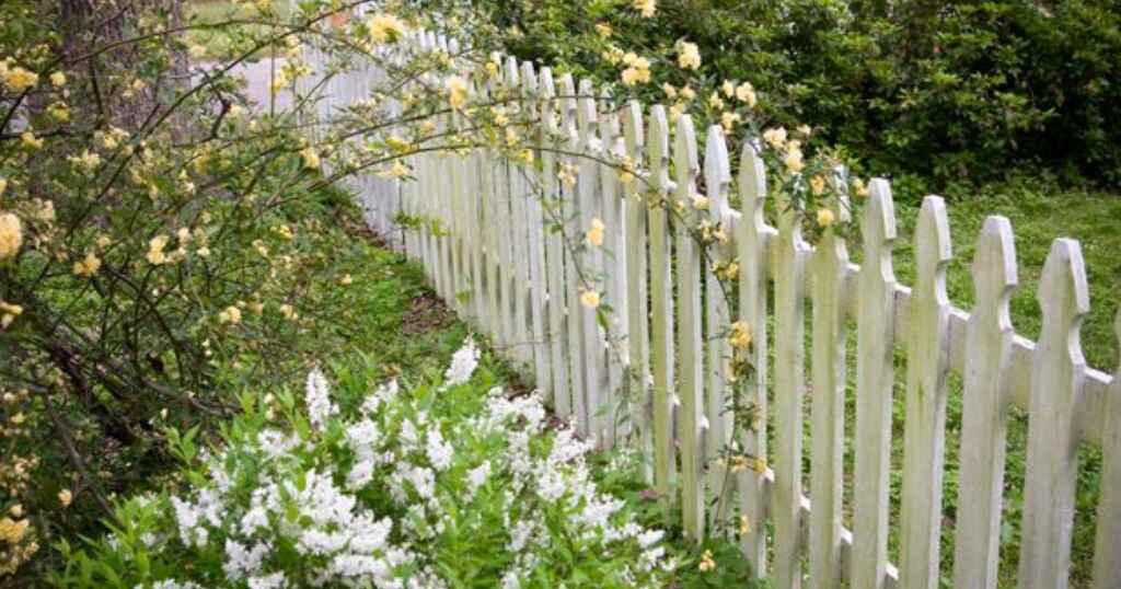 Garden Fence Pickets that is 16 inches long