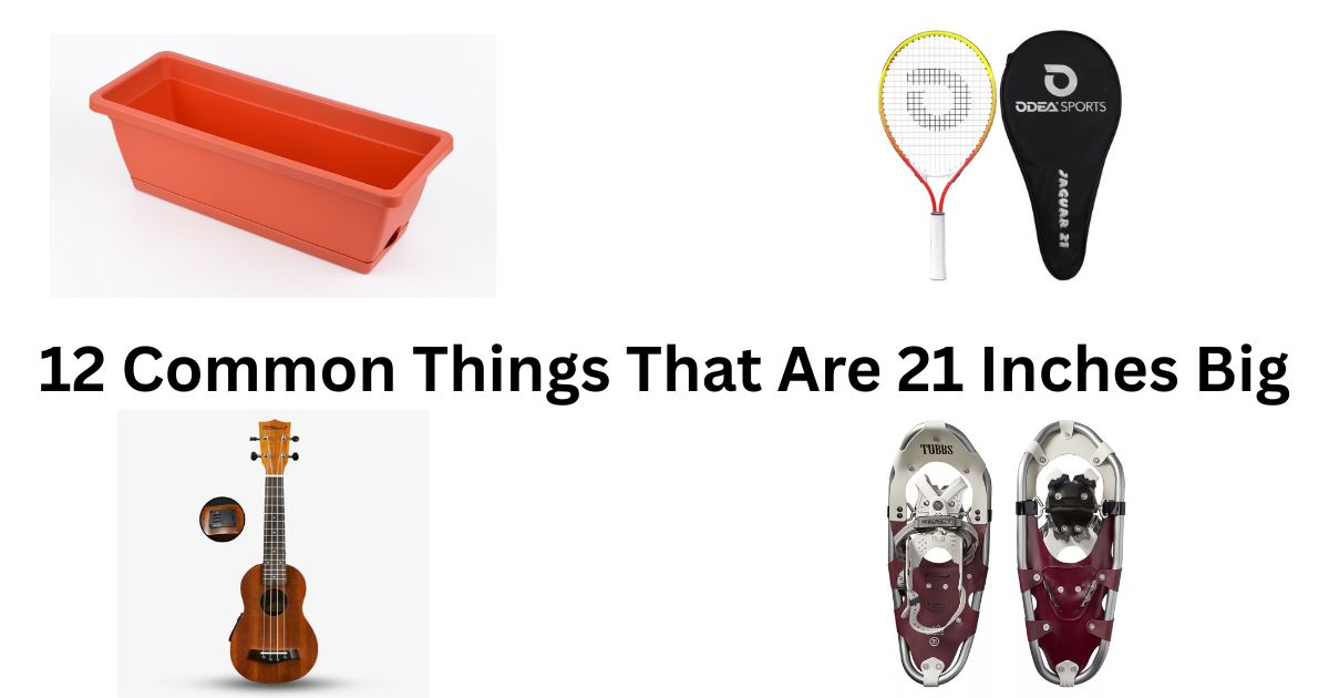How Big Is 21 Inches? 12 Common Things That Are 21 Inches Big
