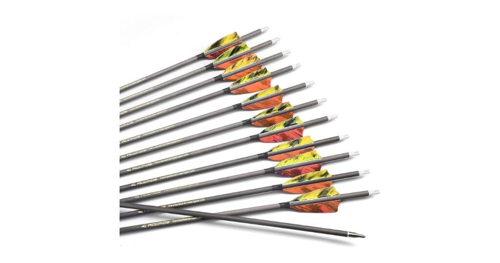 How Big Is 21 Inches? Youth Archery Arrows That Are 21 Inches Big