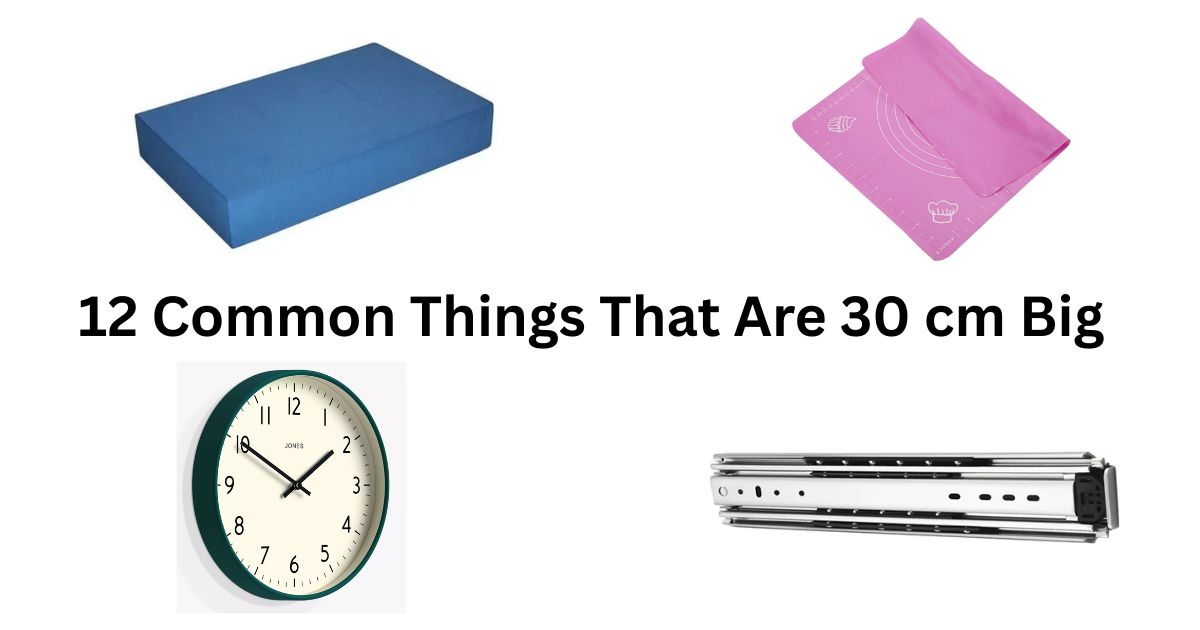 How Big Is 30 cm? 12 Common Things That Are 30 cm Big