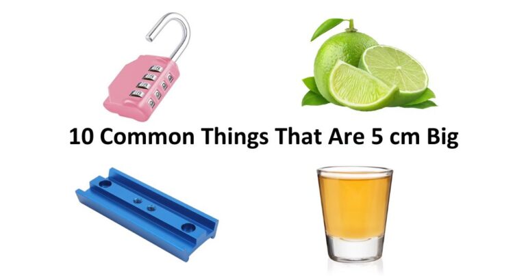 How Big Is 5 cm? 10 Common Things That Are 5 cm Big