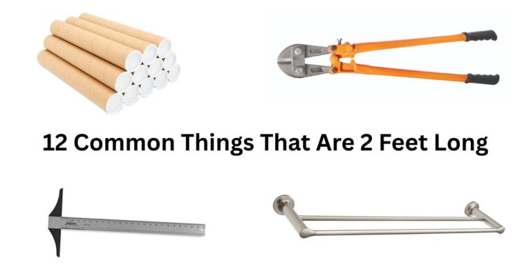 How Long Is 2 Feet? 12 Common Things That Are 2 Feet Long
