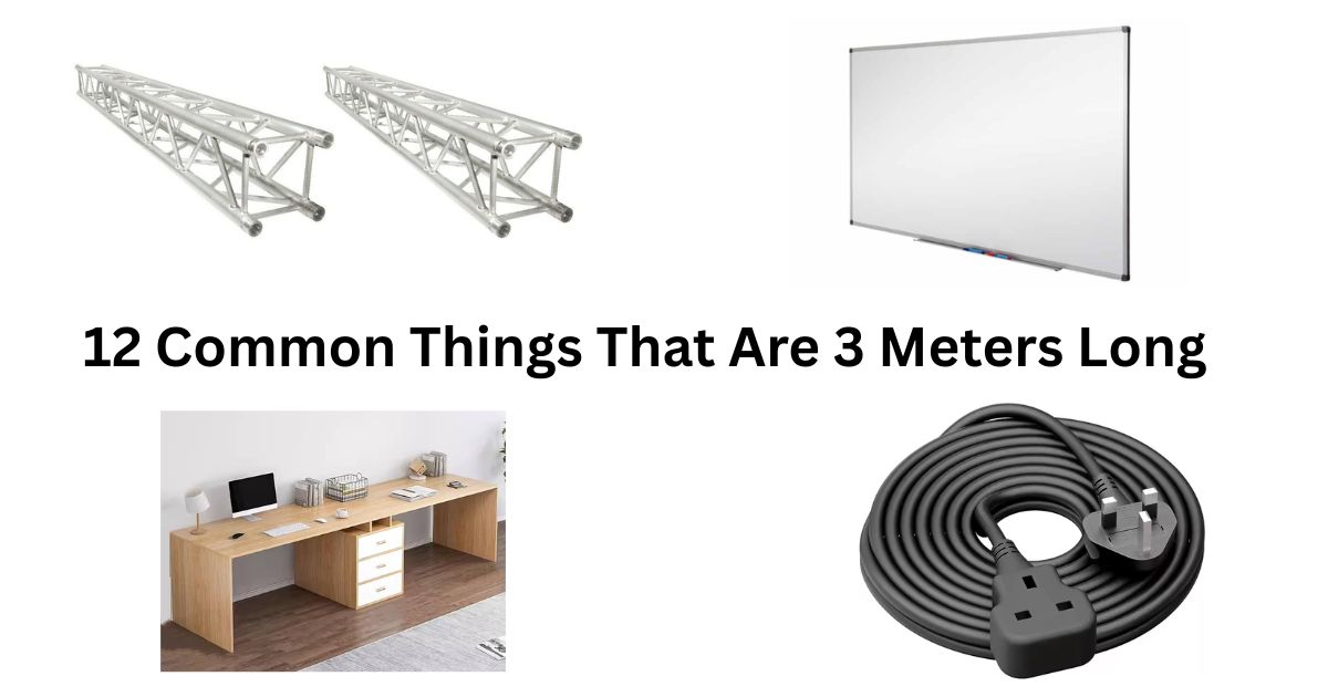 How Long Is 3 Meters? 12 Common Things That Are 3 Meters Long