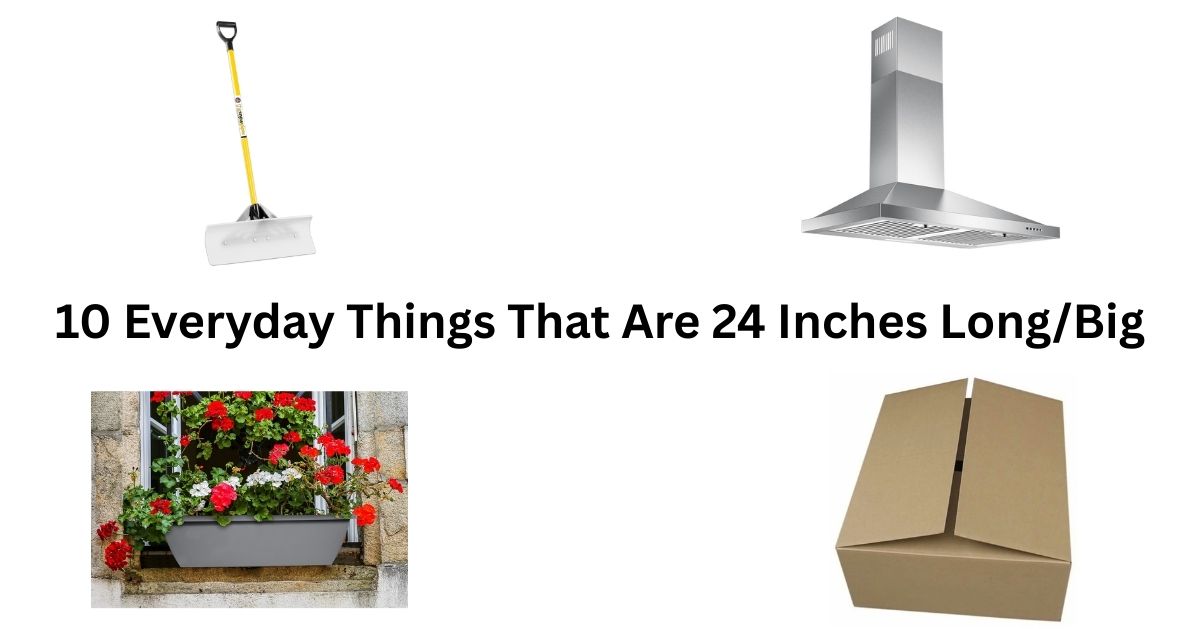 10 Everyday Things That Are Exactly 24 Inches Long/Big
