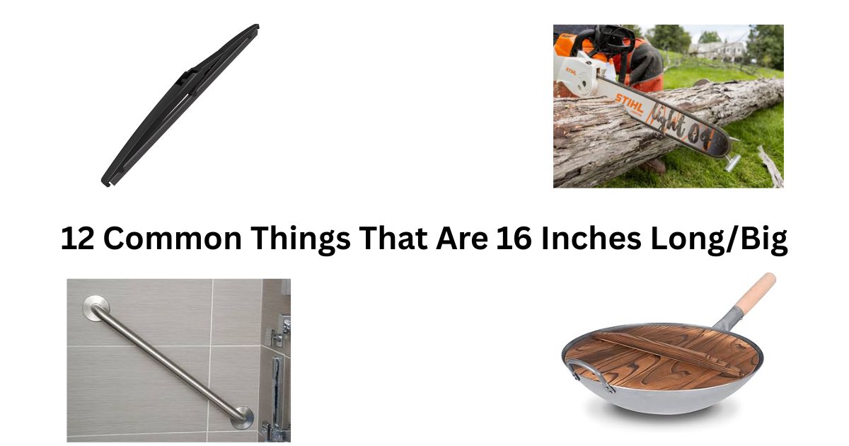 12 Common Things That Are 16 Inches Long/Big