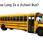 How Long Is a School Bus? Every Size and Type Explained 2026