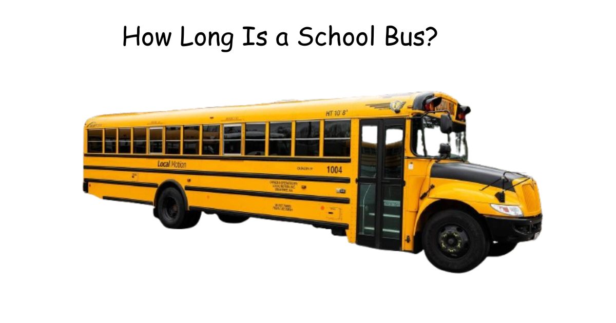 How Long Is a School Bus? Every Size and Type Explained 2026