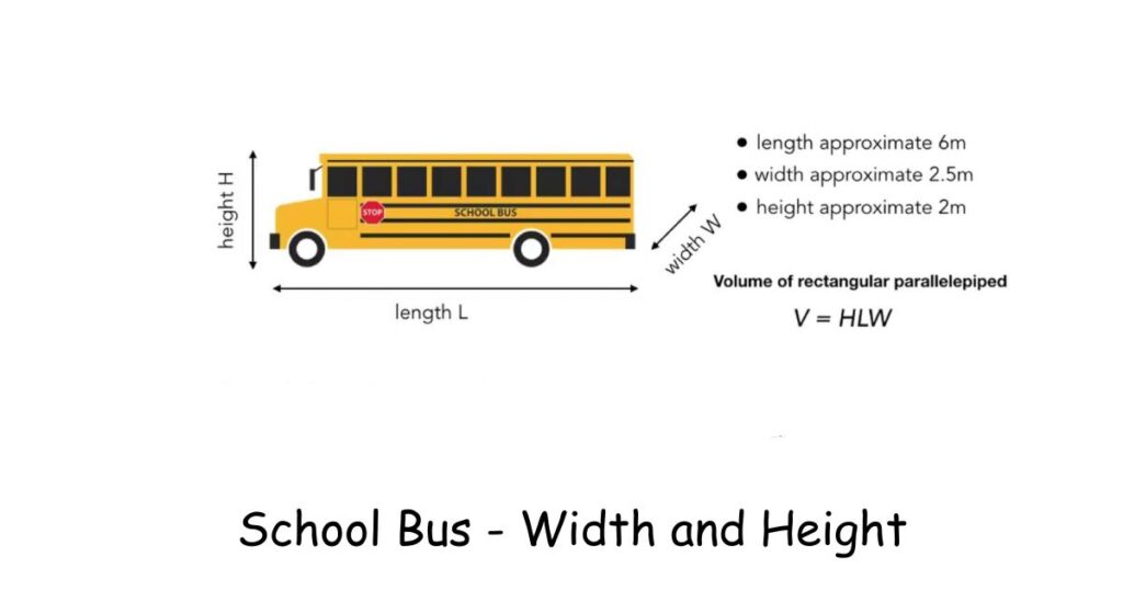How Long Is a School Bus? Width and Height - The Numbers People Forget
