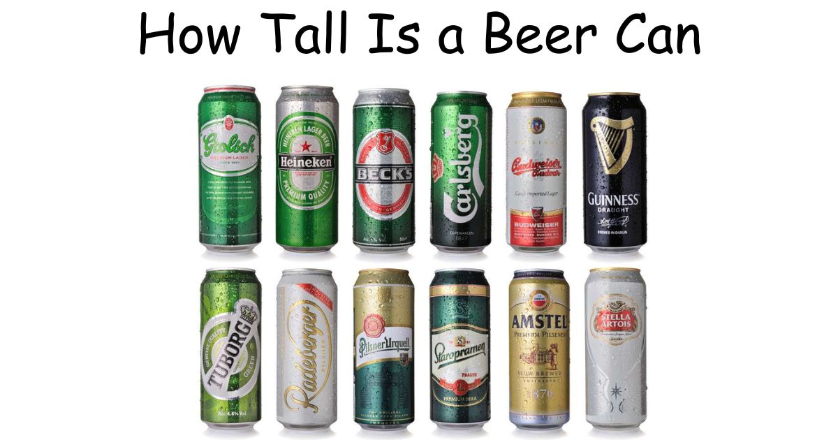 How Tall Is a Beer Can? Exact Measurements by Size