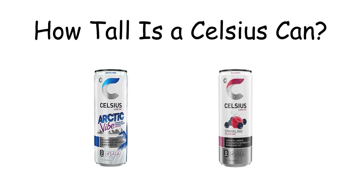 How Tall Is a Celsius Can? Exact Size, Height & Dimensions Explained