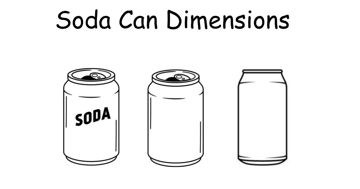 Soda Can Dimensions: Exact Sizes in Inches, MM & ML 2026